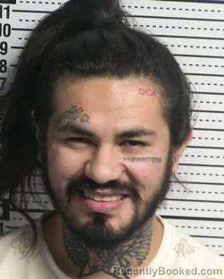 Recent Mugshot Image for RAYMOND CARLO HERNANDEZ-GONZALES in Dona Ana County, New Mexico