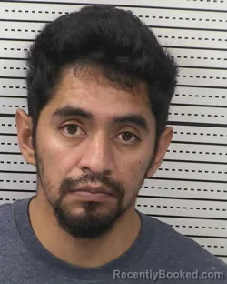 Recent Mugshot Image for JOEL MENA-NAVA in Dona Ana County, New Mexico