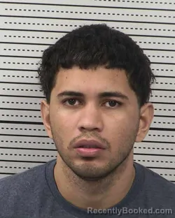 Recent Mugshot Image for BRYAN LORBES-PALENCIA in Dona Ana County, New Mexico