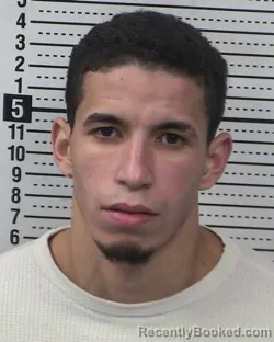 Recent Mugshot Image for WINNER SKREY COLMENARES-LOPEZ in Dona Ana County, New Mexico