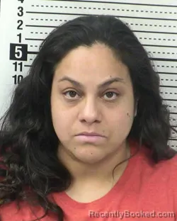 Recent Mugshot Image for NATALI CASTRO in Dona Ana County, New Mexico
