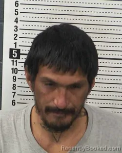 Recent Mugshot Image for RUBEN A RINCON in Dona Ana County, New Mexico