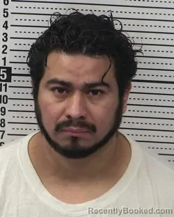 Recent Mugshot Image for LUIS ARGUETA-DIAZ in Dona Ana County, New Mexico
