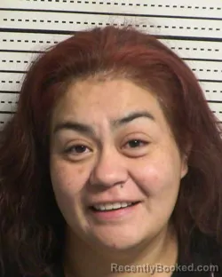 Recent Mugshot Image for ELIZABETH NORIEGA in Dona Ana County, New Mexico