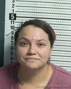 Recent Mugshot Image for DANIELLE RODRIGUEZ in Dona Ana County, New Mexico