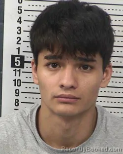 Recent Mugshot Image for ALBERTO CALVILLO-CALVILLO in Dona Ana County, New Mexico