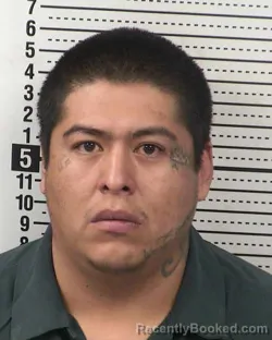Recent Mugshot Image for RAYMOND SHAUN CHEE in Dona Ana County, New Mexico