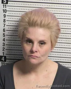 Recent Mugshot Image for JAMIE LEE ROSS in Dona Ana County, New Mexico