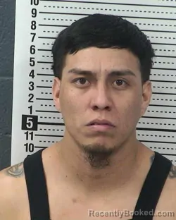 Recent Mugshot Image for CARLOS SALAS in Dona Ana County, New Mexico
