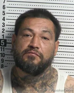 Recent Mugshot Image for SANTIAGO BRISENO in Dona Ana County, New Mexico
