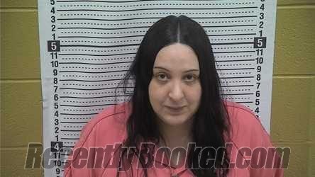 Recent Mugshot Image for Anna Gomez in Grant County, New Mexico