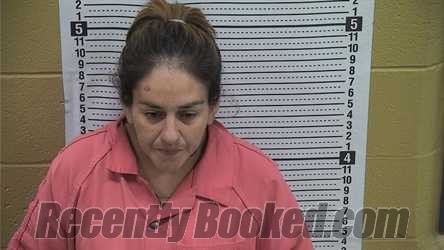 Recent Mugshot Image for BRYANA CHAVEZ in Grant County, New Mexico
