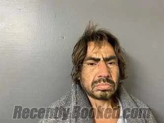 Recent Mugshot Image for Julian Venegas Montoya in Hardee County, Florida