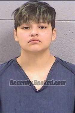 Recent Mugshot Image for Shaina Renae Sandoval in San Juan County, New Mexico