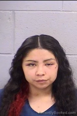 Recent Mugshot Image for Shaneece Deanna James in San Juan County, New Mexico
