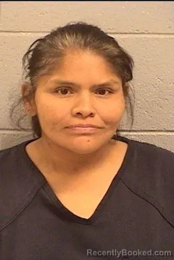 Recent Mugshot Image for Sharee Marie Thomas in San Juan County, New Mexico