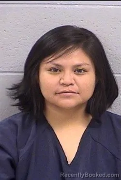 Recent Mugshot Image for Rainy Jodawna Bia in San Juan County, New Mexico
