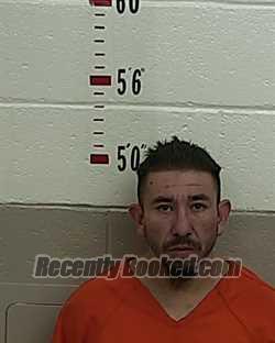 Recent Mugshot Image for REYES RUIZ in San Miguel County, New Mexico
