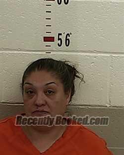 Recent Mugshot Image for LORI LEE LUJAN in San Miguel County, New Mexico