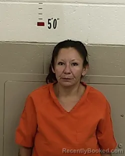 Recent Mugshot Image for JANNETT TAFOYA in San Miguel County, New Mexico