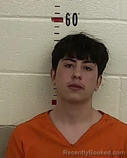 Recent Mugshot Image for JONAH ANGEL in San Miguel County, New Mexico