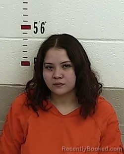 Recent Mugshot Image for HELENA VALDEZ in San Miguel County, New Mexico
