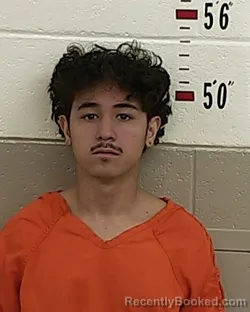 Recent Mugshot Image for DWIGHT MARES in San Miguel County, New Mexico