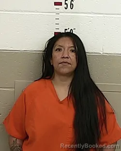Recent Mugshot Image for JOLENE SENA in San Miguel County, New Mexico