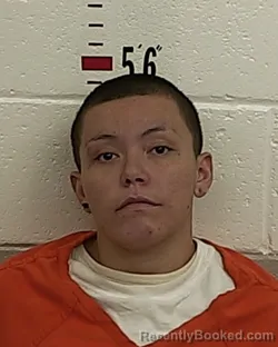 Recent Mugshot Image for TIANA ORTIZ in San Miguel County, New Mexico