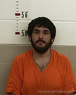 Recent Mugshot Image for JOVANI F DELAO in San Miguel County, New Mexico
