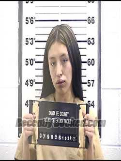 Recent Mugshot Image for STACY HERRERA in Santa Fe County, New Mexico