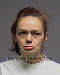 Recent Mugshot Image for Ruthann Frances Zupo in Broome County, New York