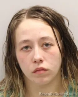 Recent Mugshot Image for ADRIENNE METCALF in Cattaraugus County, New York