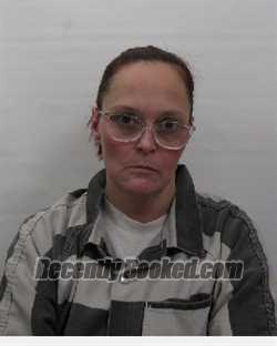 Recent Mugshot Image for Jamie N Perrin in Chautauqua County, New York
