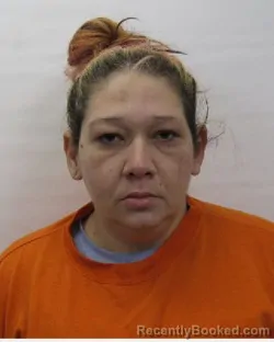 Recent Mugshot Image for Leanne J Moore in Chautauqua County, New York