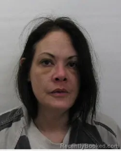 Recent Mugshot Image for Amanda N McClellan in Chautauqua County, New York