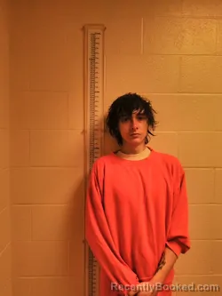 Recent Mugshot Image for Dustin MICHAEL THOMAS in Chenango County, New York