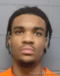 Recent Mugshot Image for YACERE DALE in Delaware County, New York