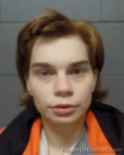 Recent Mugshot Image for PATRICIA ANNE ROBINSON in Delaware County, New York