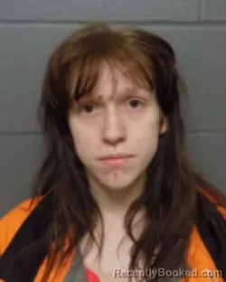 Recent Mugshot Image for JUBILEE D KLIMAS in Delaware County, New York