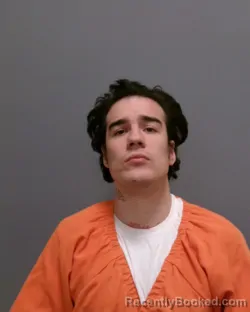 Recent Mugshot Image for BRANDON RIVERA in Greene County, New York