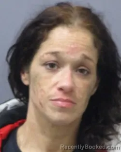 Recent Mugshot Image for TOSHA M. RIVERA in Montgomery County, New York