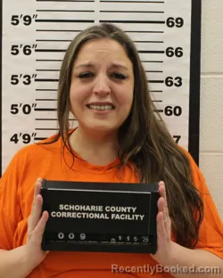 Recent Mugshot Image for KATHLEEN ANN PANDOLFI in Schoharie County, New York