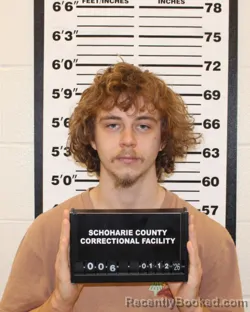 Recent Mugshot Image for JOSEPH DANIEL EDWARDS in Schoharie County, New York