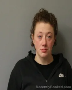 Recent Mugshot Image for MARIAH J BRISBOIS in Schuyler County, New York