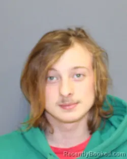 Recent Mugshot Image for ANDREW PAUL SCARBOROUGH in Seneca County, New York