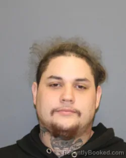 Recent Mugshot Image for WALTER W WISE in Seneca County, New York