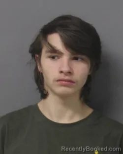 Recent Mugshot Image for BRYCE ANTHONY MCELWEE in Steuben County, New York