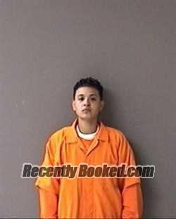 Recent Mugshot Image for Luz Zapata in Ulster County, New York