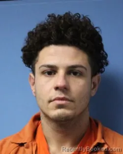 Recent Mugshot Image for DAMIAN E TATCHELL in Wayne County, New York